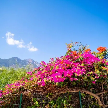 Spacious Sanctuary Cove B4 Duplex With Sea View In Lapta Lägenhet *