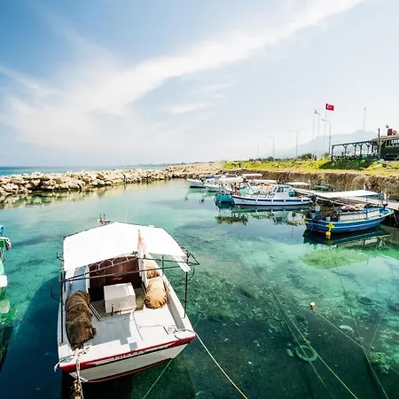 Spacious Sanctuary Cove B4 Duplex With Sea View In Lapta Lägenhet *