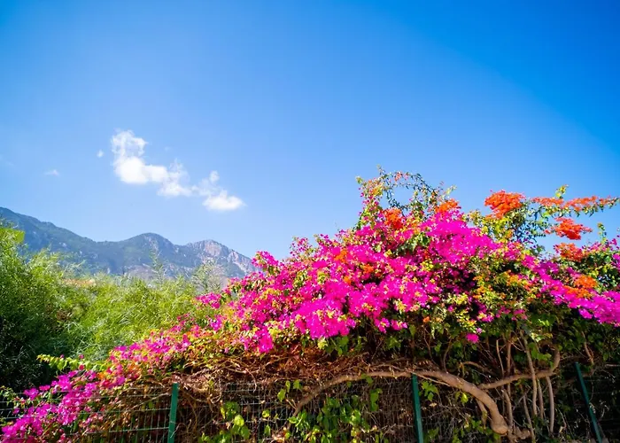 Spacious Sanctuary Cove B4 Duplex With Sea View In Lapta アパート *